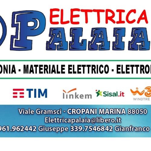 Elettrica Palaia