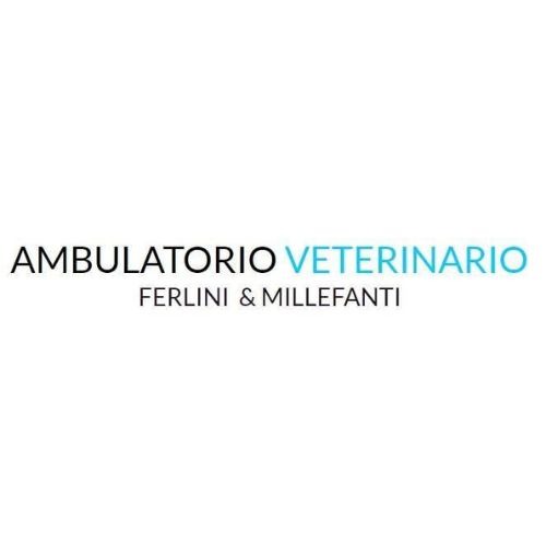 Ambulatorio Veterinario Ferlini e Millefanti