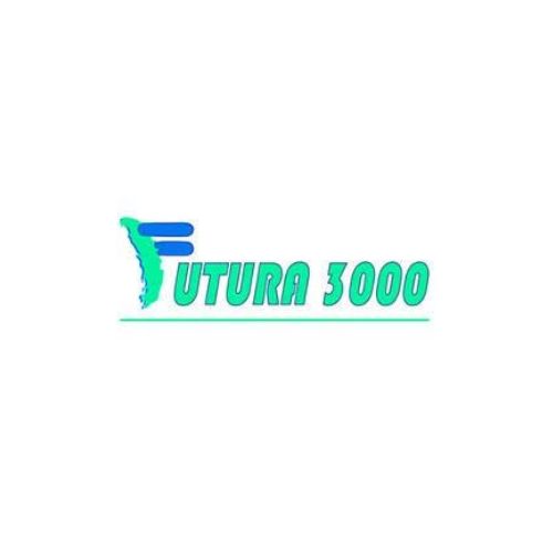 Carrozzeria Futura 3000